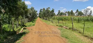 Plots for Sale in Illula After Kapsoya in Eldoret