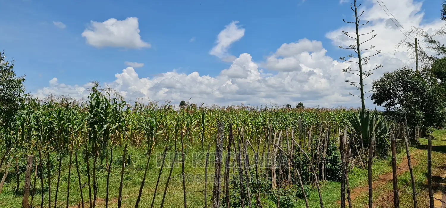 Plots for Sale in Illula After Kapsoya in Eldoret