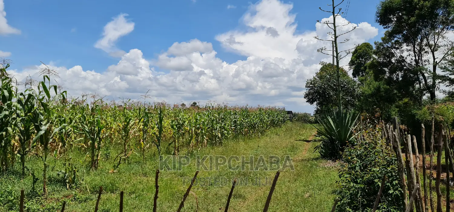 Plots for Sale in Illula After Kapsoya in Eldoret