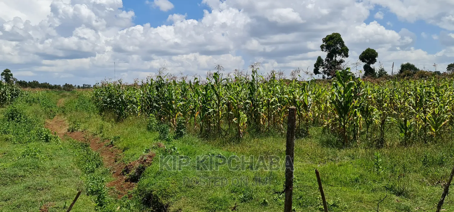 Plots for Sale in Illula After Kapsoya in Eldoret