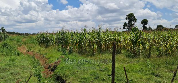 Plots for Sale in Illula After Kapsoya in Eldoret