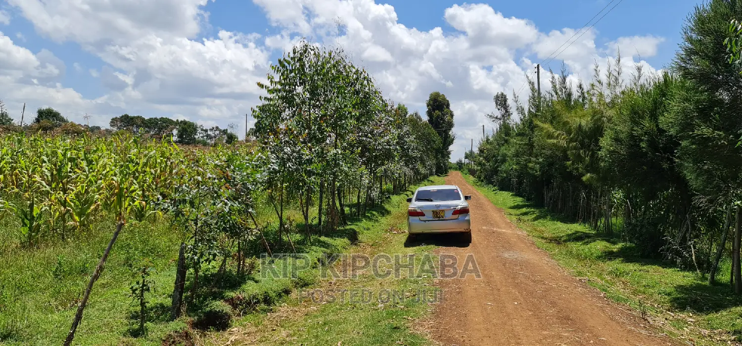 Plots for Sale in Illula After Kapsoya in Eldoret