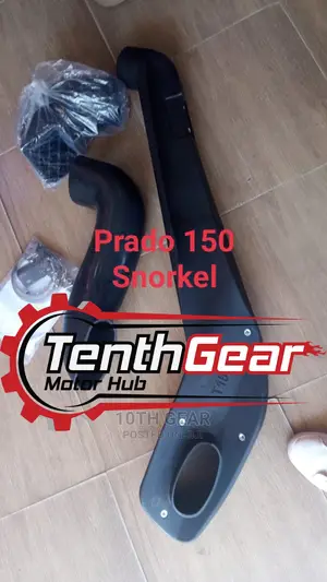 Prado 150 Snorkel