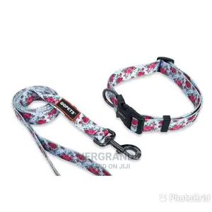 Dog Leash at Wholesale Price