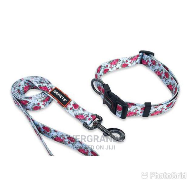 Dog Leash at Wholesale Price