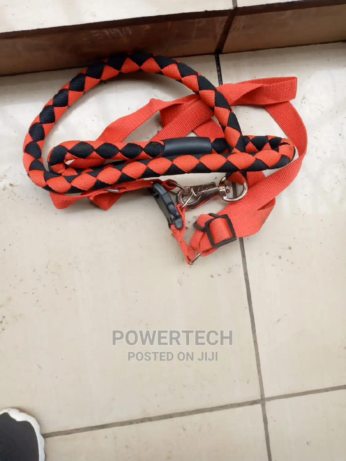 Dog Leash Available
