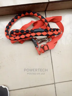 Dog Leash Available