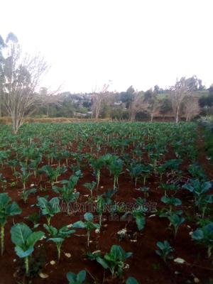 50 by 100 Murengeti, Limuru - thumbnail 2