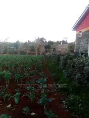 50 by 100 Murengeti, Limuru