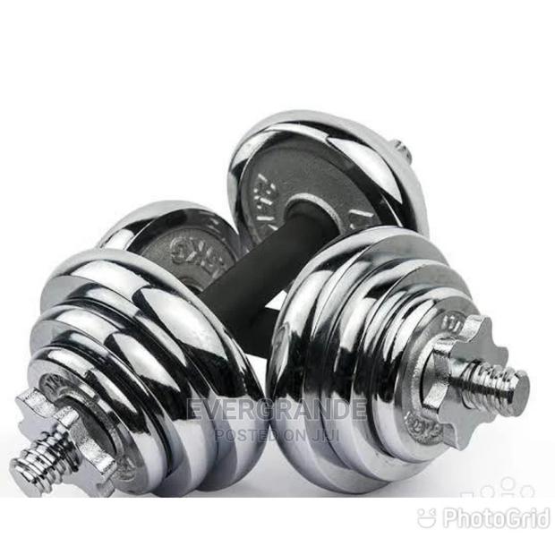 20kg Chrome Dumbbells - main view