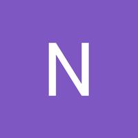 Nelson logo