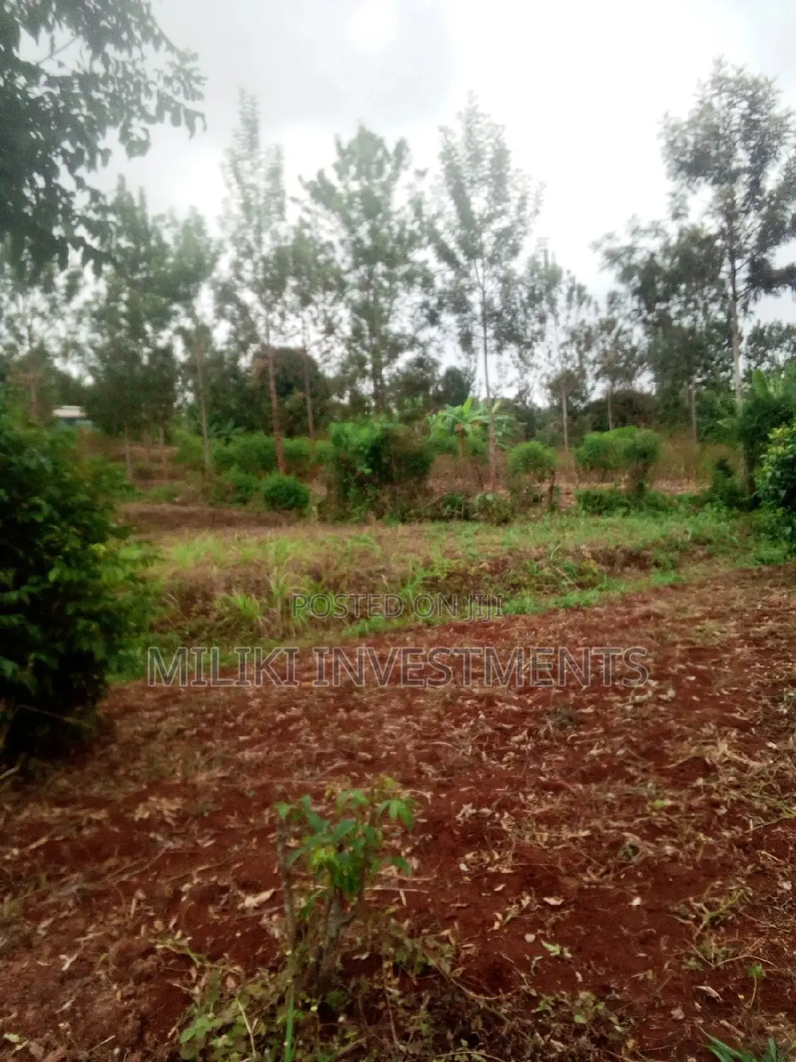 40 by 80 for Sale at Kenol