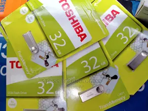 Toshiba Flash Drives