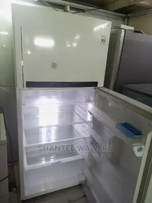 Big Digital Inverter Lg Fridge