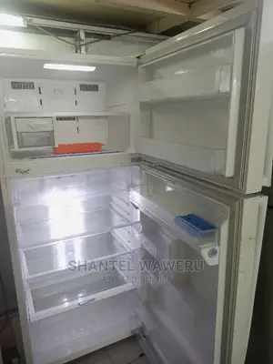 Big Digital Inverter Lg Fridge