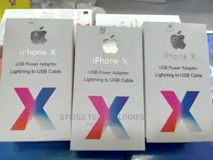 iPhone Charger