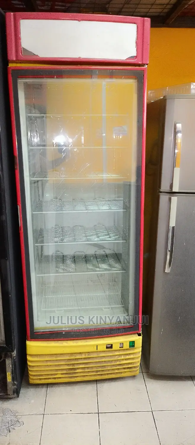 Standing Freezer 600L