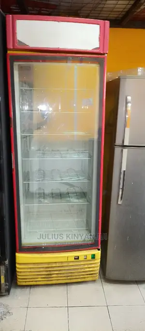 Standing Freezer 600L