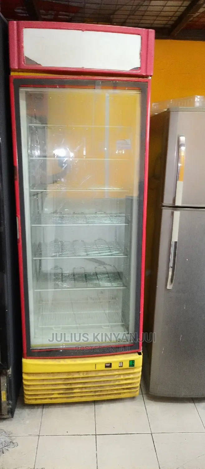 Standing Freezer 600L