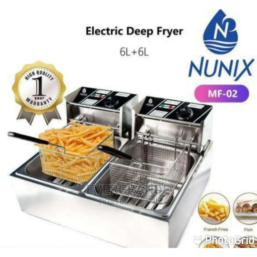 Electric Deep Fryer Double