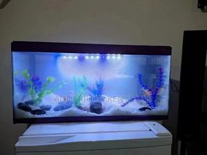 Complete Aquarium Present for Special Occasions.Aquapresent - thumbnail 2