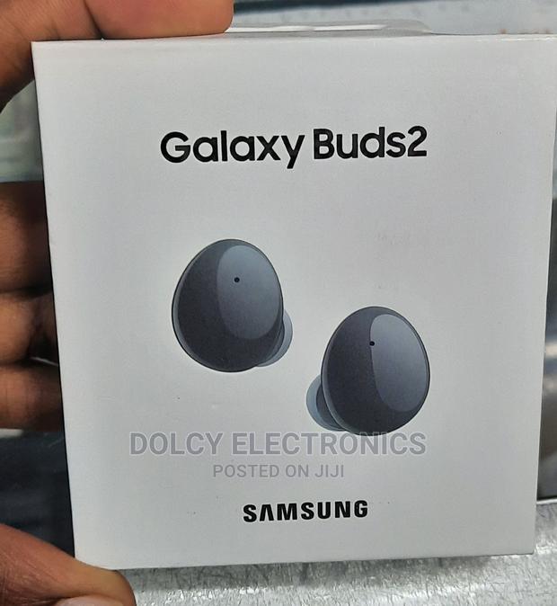 Samsung Galaxy Buds2 - main view