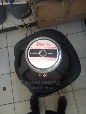 Speaker Derwel 153