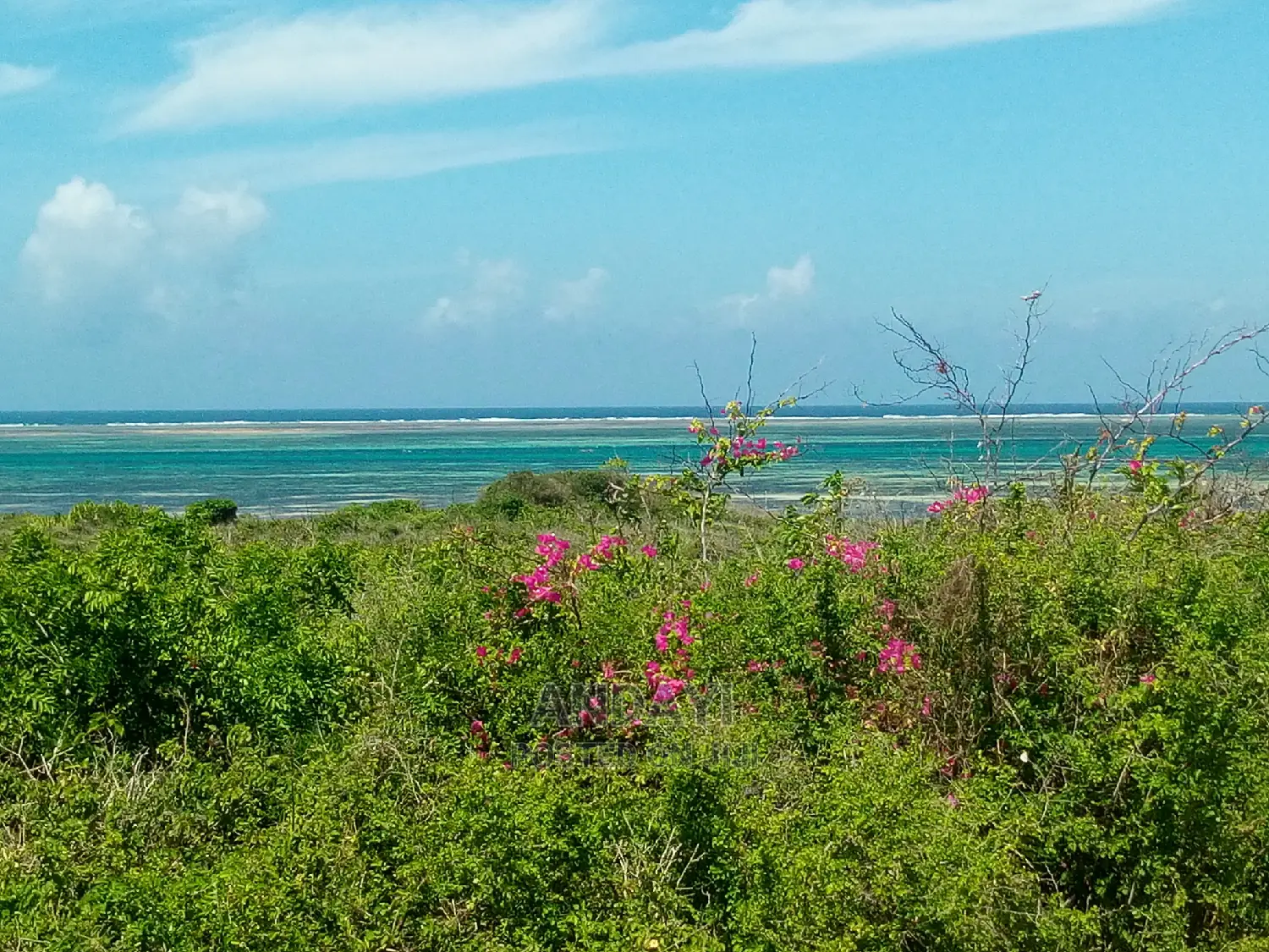 Watamu Beachfront Land for Sale