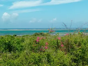 Watamu Beachfront Land for Sale