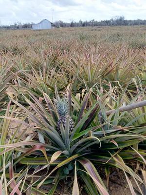 Malindi 20,000 Acres Lands for Sale - thumbnail 2