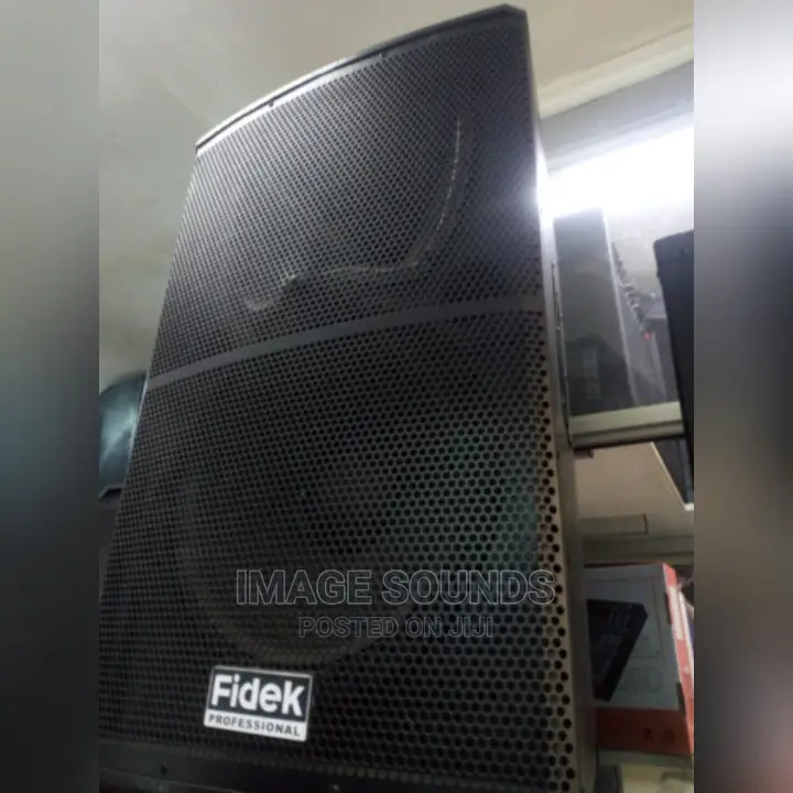 Fidek 15" Mid-Range Speaker