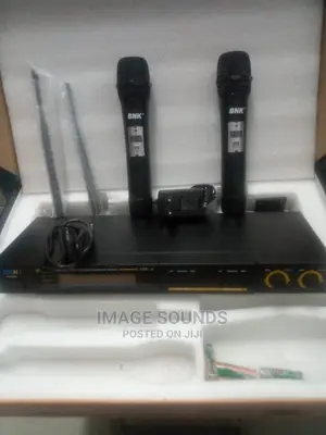 Powerful Wireless Microphone