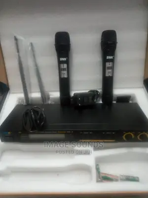 Powerful Wireless Microphone