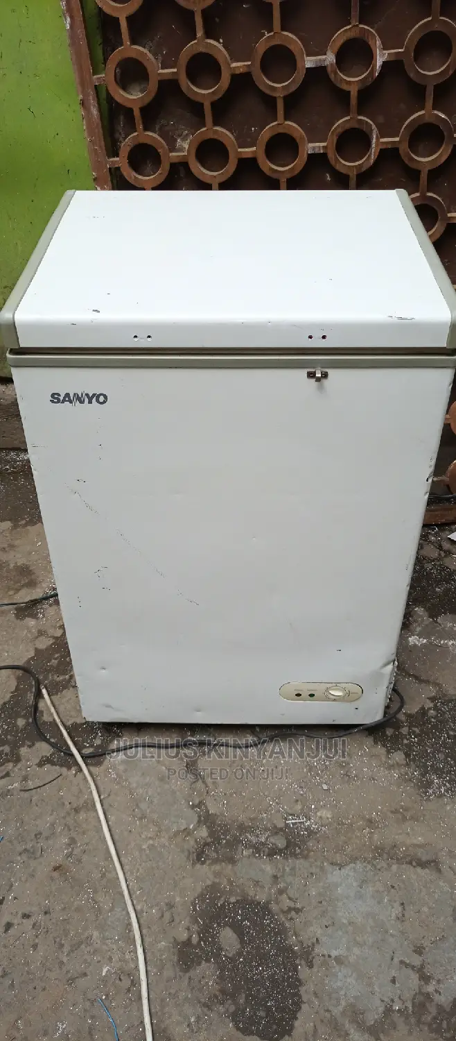 Mini Freezer 100L