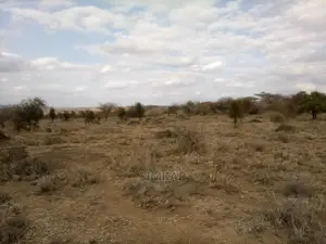 550-Acres of Land for Sale in Lorogoswa - Bisil - Namanga Ro