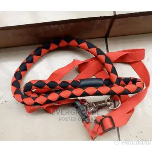 Dog Leash on Sale
