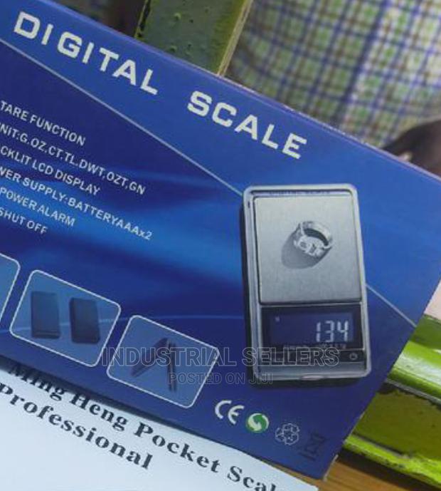 Digitalized Pocket Scale - main view