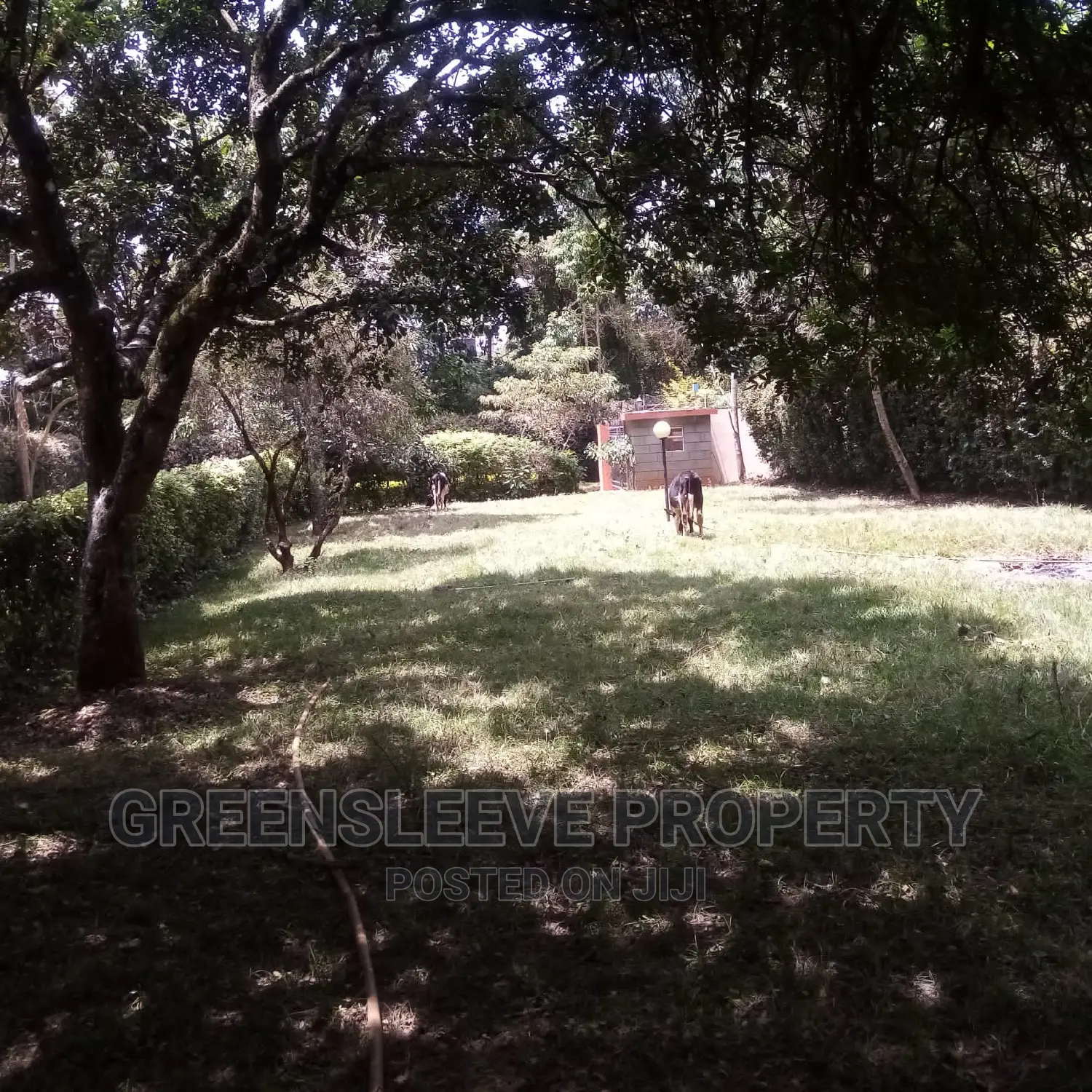 6bdrm Townhouse / Terrace in Karen for rent