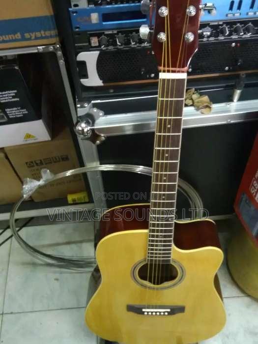 Semi Acoustic Box Guitar USA