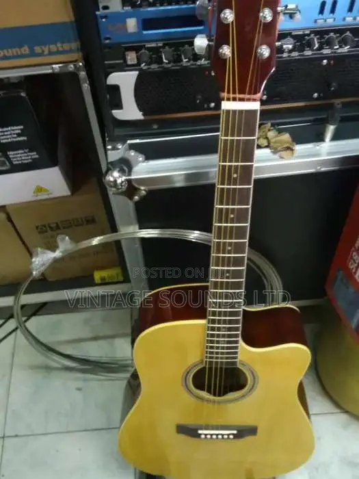 Semi Acoustic Box Guitar USA