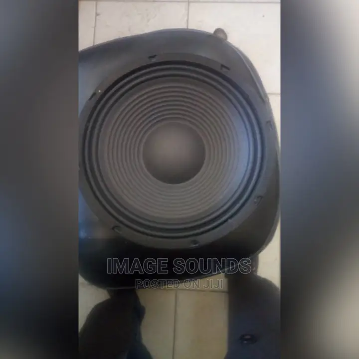 Gedun Speaker 12"