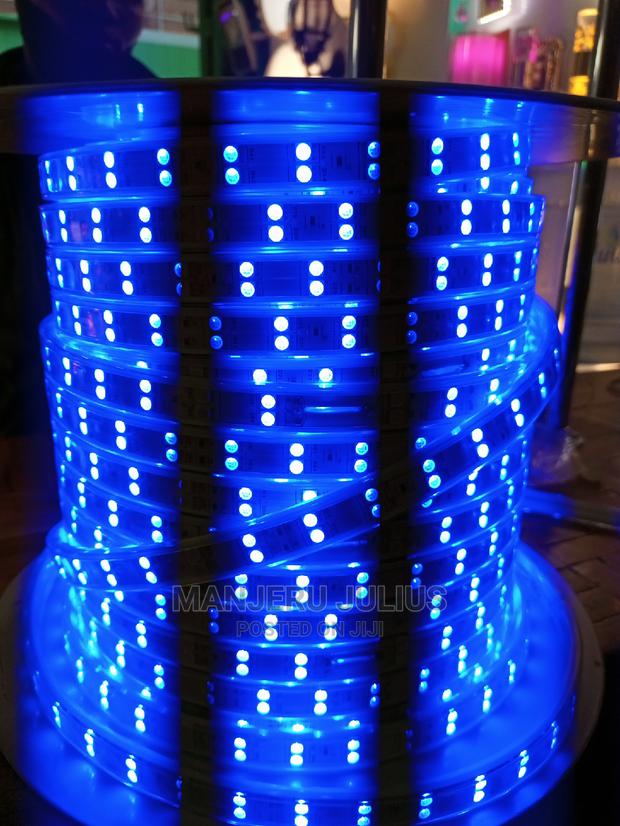 50meters Multicolored Double Snake Light - thumbnail 2