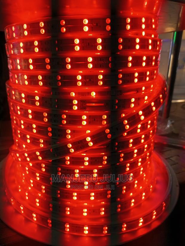 50meters Multicolored Double Snake Light - thumbnail 3