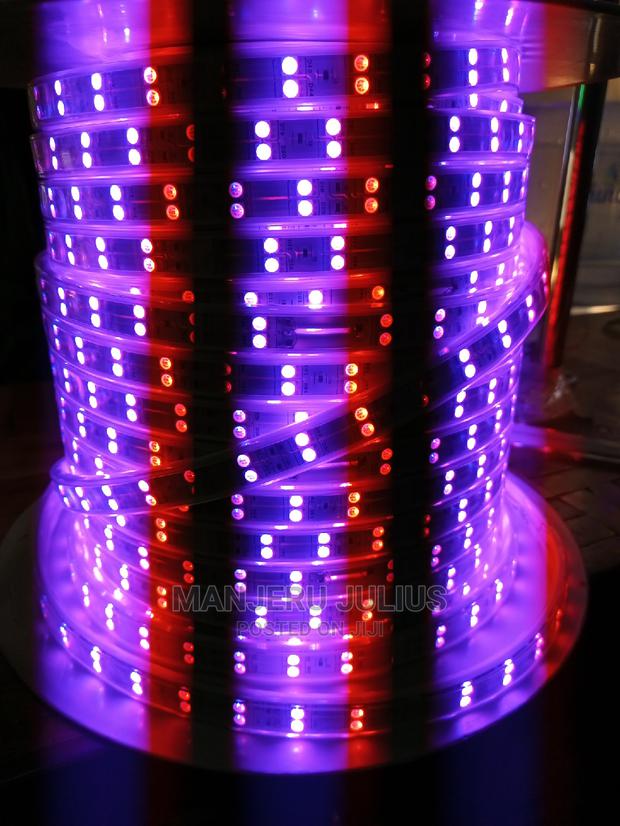 50meters Multicolored Double Snake Light - thumbnail 4