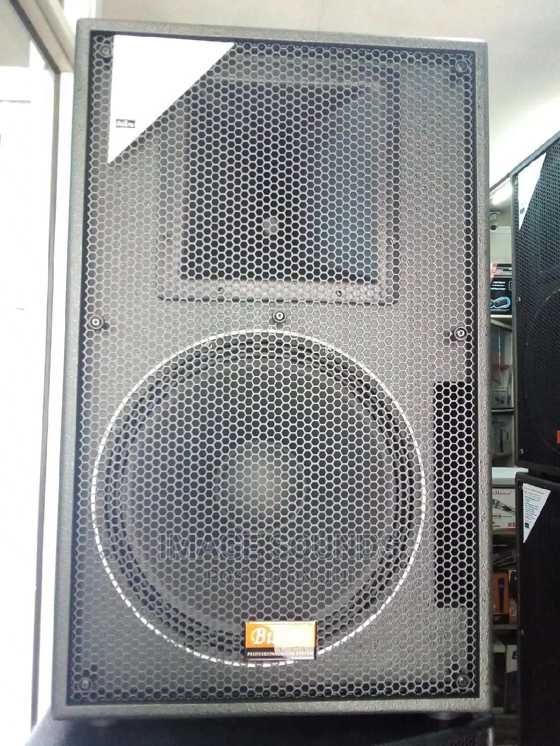 Billow 15" Speaker