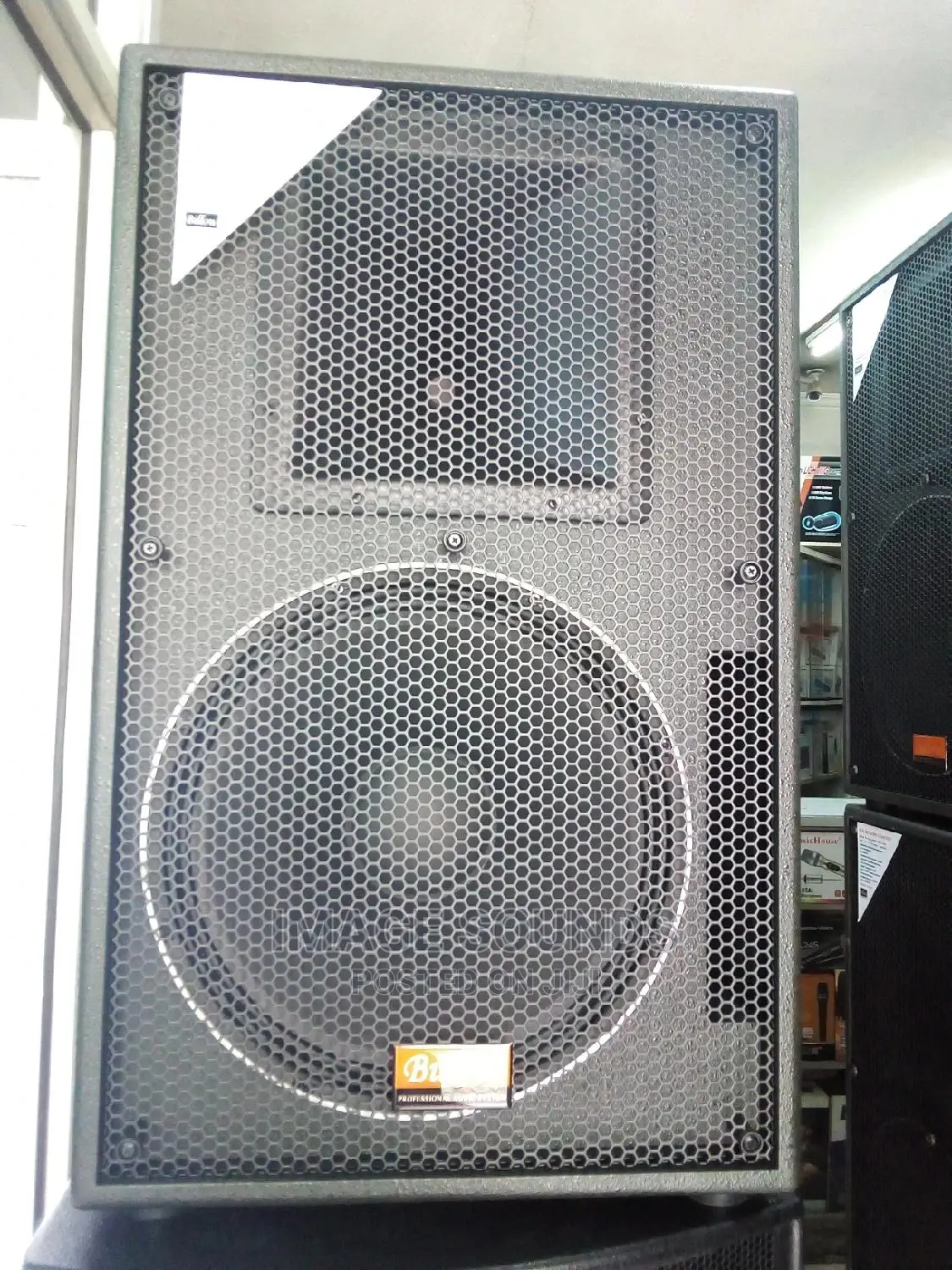 Billow 15" Speaker