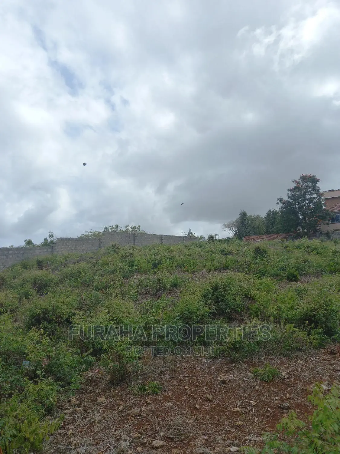 For Sale Quater Acre Land Nyali