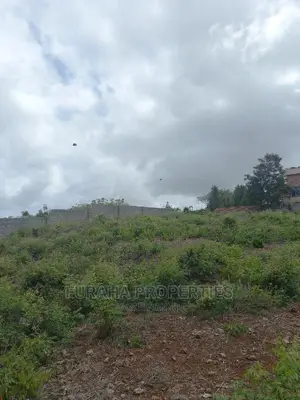 For Sale Quater Acre Land Nyali