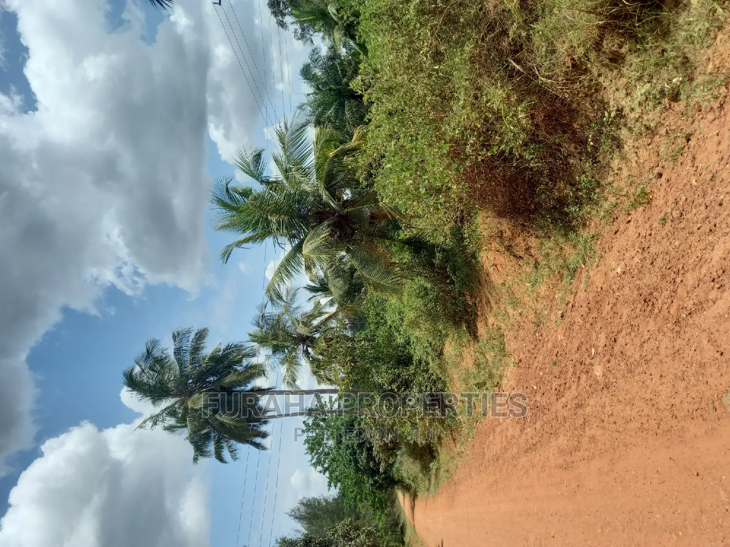 For Sale 6 Acre Agricultural Land Msambweni