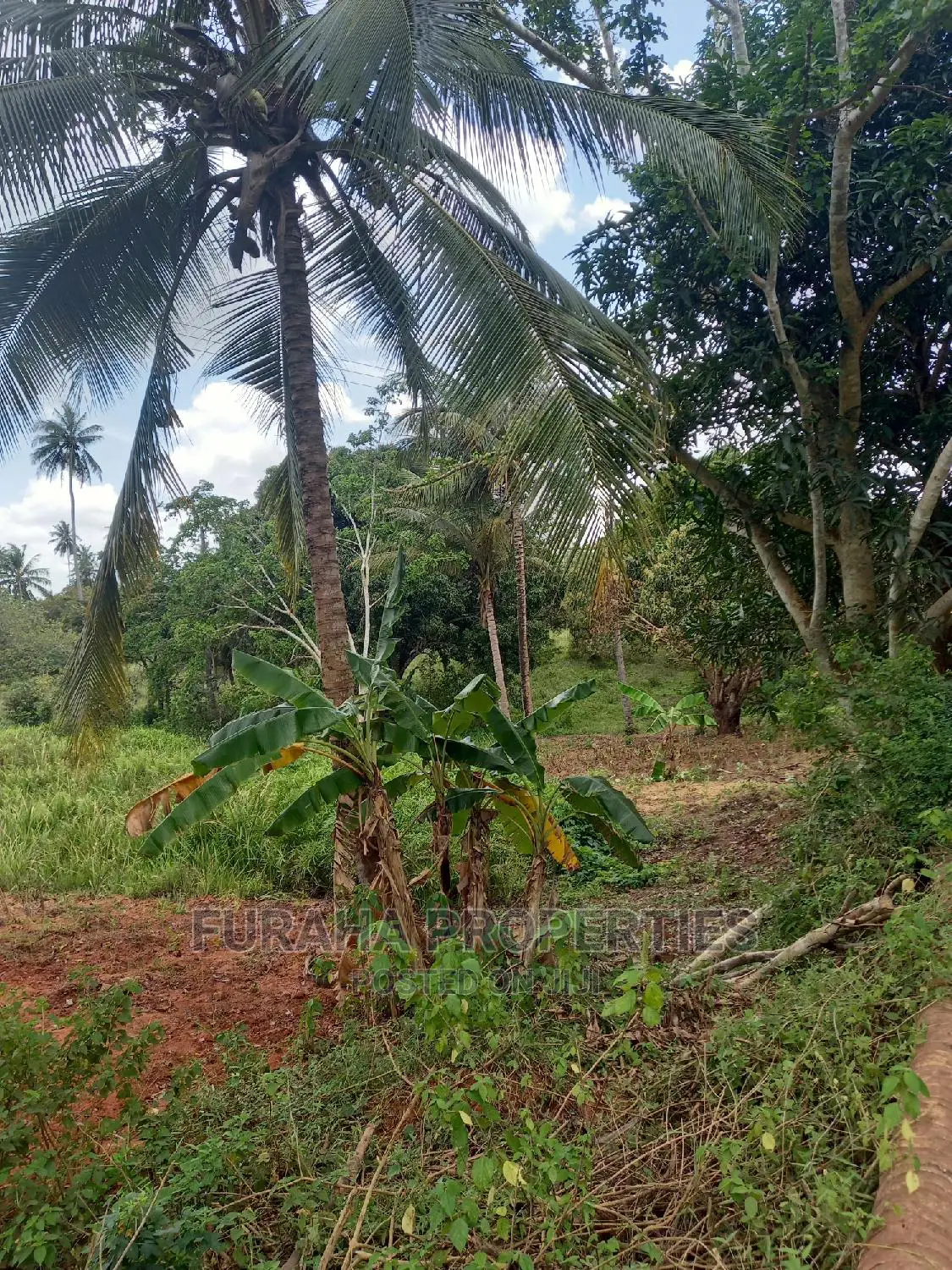 For Sale 6 Acre Agricultural Land Msambweni in Ramisi Land & Plots